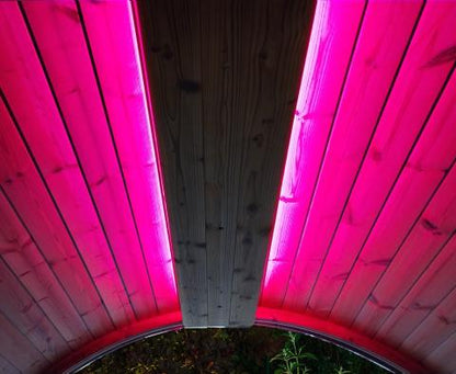 SaunaLife Emood Color Lighting for ERGO Sauna