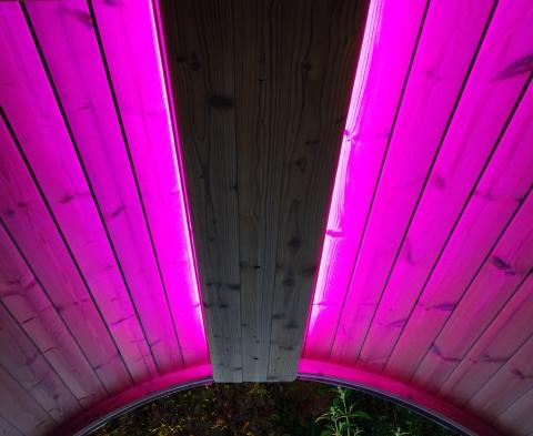 SaunaLife Emood Color Lighting for ERGO Sauna