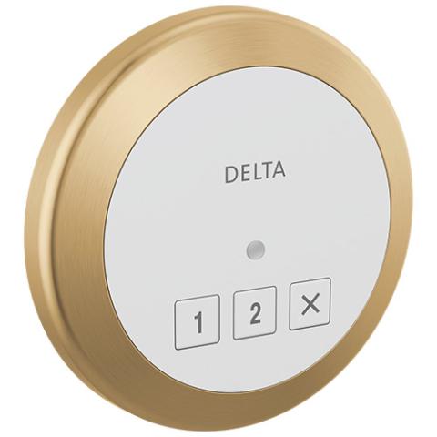 Delta Steamscape™ Round Control