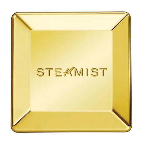 Steamist 3199