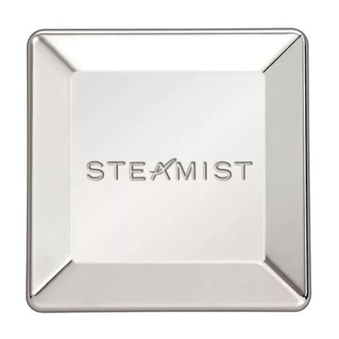 Steamist 3199