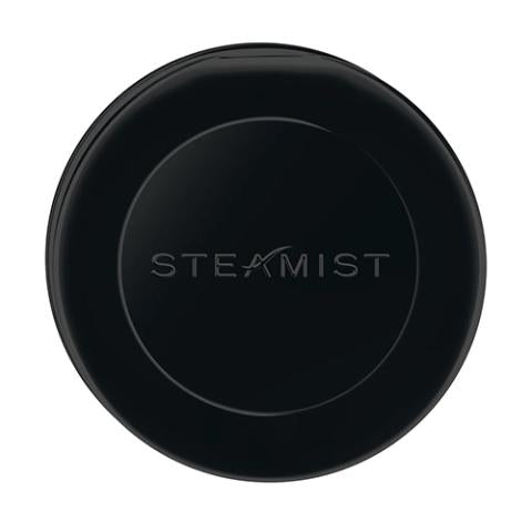 Steamist 3199R