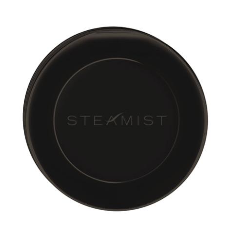 Steamist 3199R