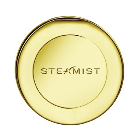 Steamist 3199R